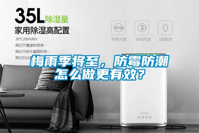 梅雨季将至，防霉防潮怎么做更有效？