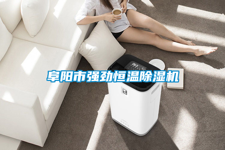 阜阳市强劲恒温除湿机