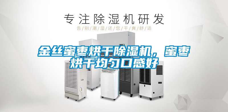 金丝蜜枣烘干除湿机，蜜枣烘干均匀口感好