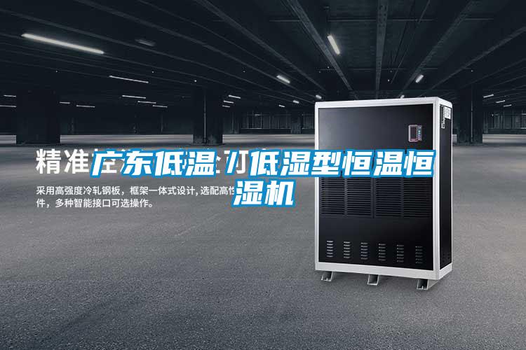 广东低温／低湿型恒温恒湿机