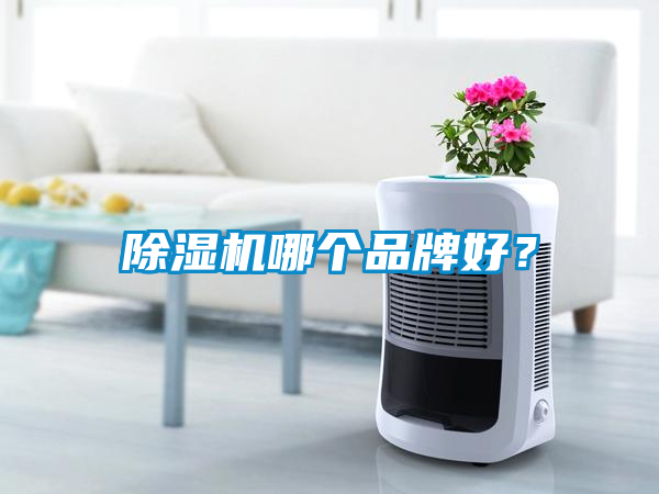 除湿机哪个品牌好？
