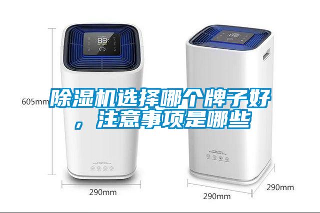 除湿机选择哪个牌子好，注意事项是哪些