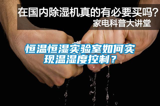 恒温恒湿实验室如何实现温湿度控制？