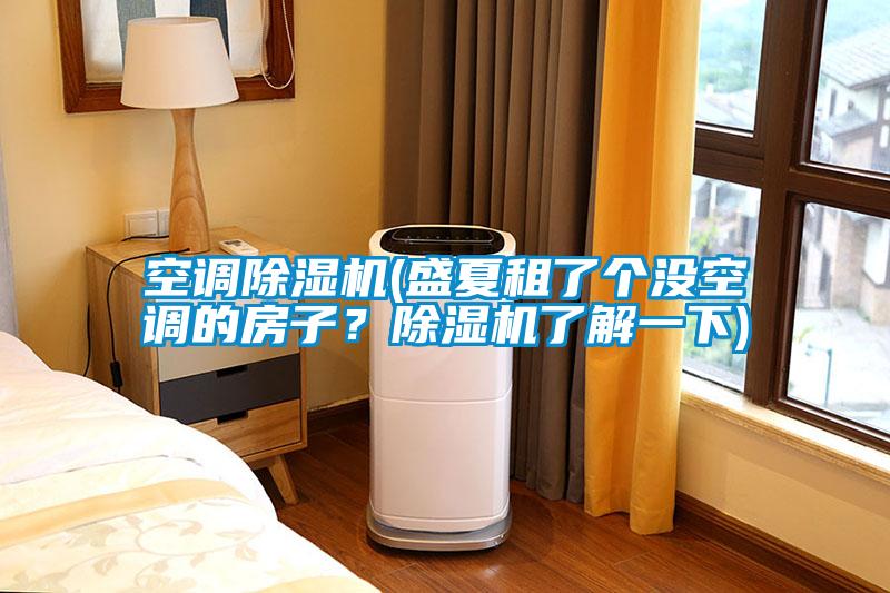 空调除湿机(盛夏租了个没空调的房子？除湿机了解一下)