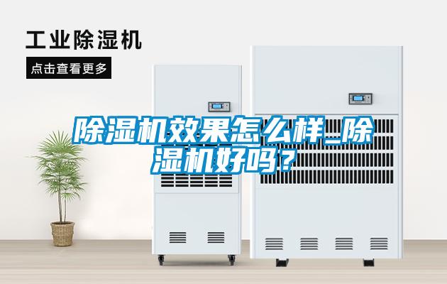 除湿机效果怎么样_除湿机好吗？