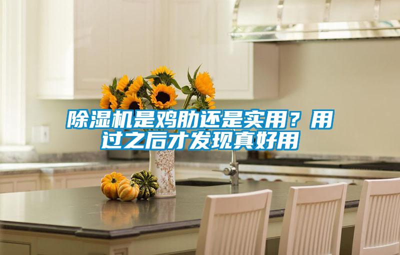 除湿机是鸡肋还是实用？用过之后才发现真好用