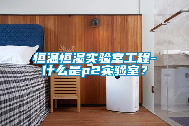 恒温恒湿实验室工程-什么是p2实验室？