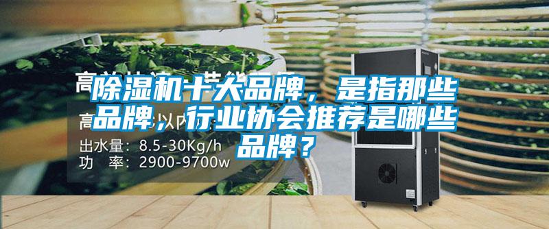 除湿机十大品牌，是指那些品牌，行业协会推荐是哪些品牌？