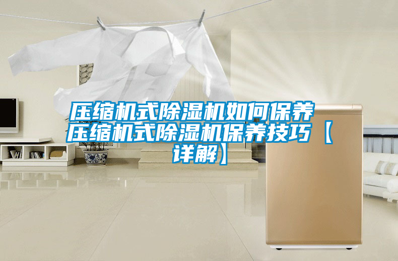 压缩机式除湿机如何保养 压缩机式除湿机保养技巧【详解】