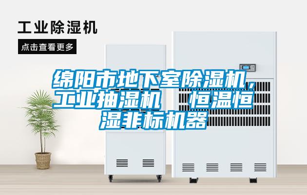 绵阳市地下室除湿机，工业抽湿机  恒温恒湿非标机器