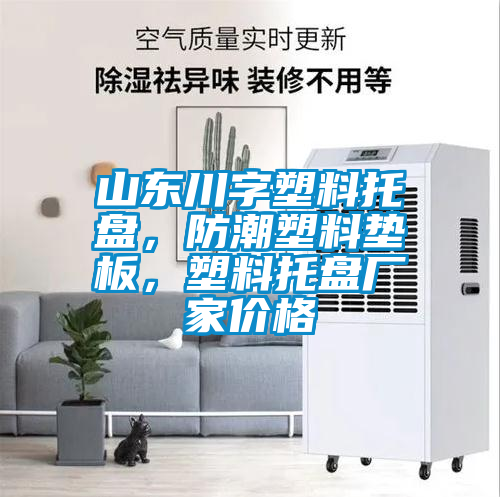 山東川字塑料托盤，防潮塑料墊板，塑料托盤廠家價(jià)格