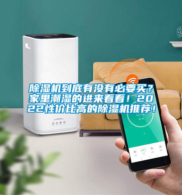 除湿机到底有没有必要买？家里潮湿的进来看看！2022性价比高的除湿机推荐！
