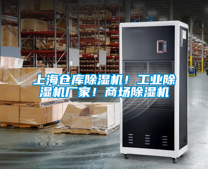 上海倉(cāng)庫(kù)除濕機(jī)！工業(yè)除濕機(jī)廠家！商場(chǎng)除濕機(jī)