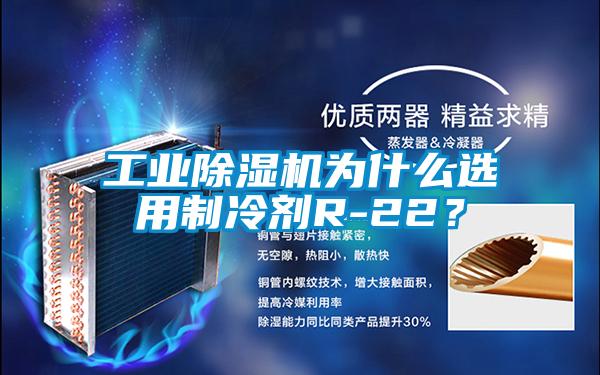 工业除湿机为什么选用制冷剂R-22？