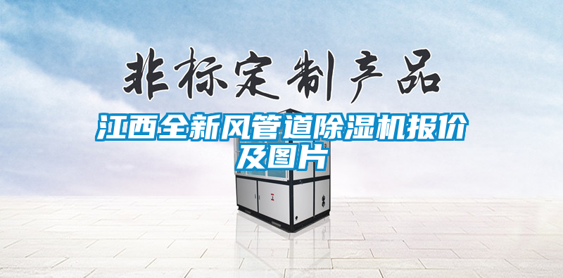 江西全新风管道除湿机报价及图片