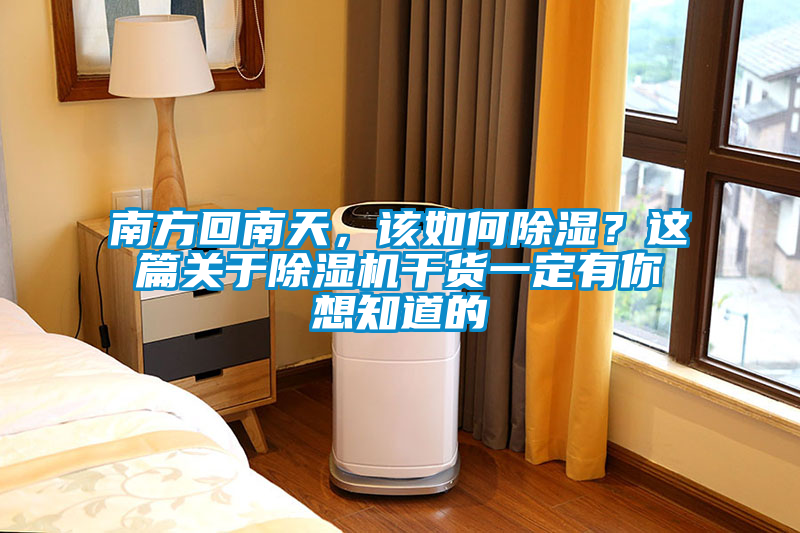 南方回南天，该如何除湿？这篇关于除湿机干货一定有你想知道的