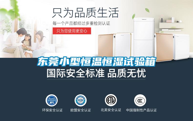 东莞小型恒温恒湿试验箱