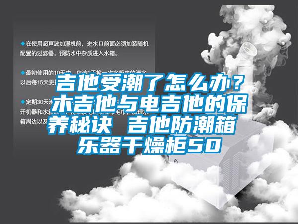 吉他受潮了怎么办？木吉他与电吉他的保养秘诀 吉他防潮箱 乐器干燥柜50