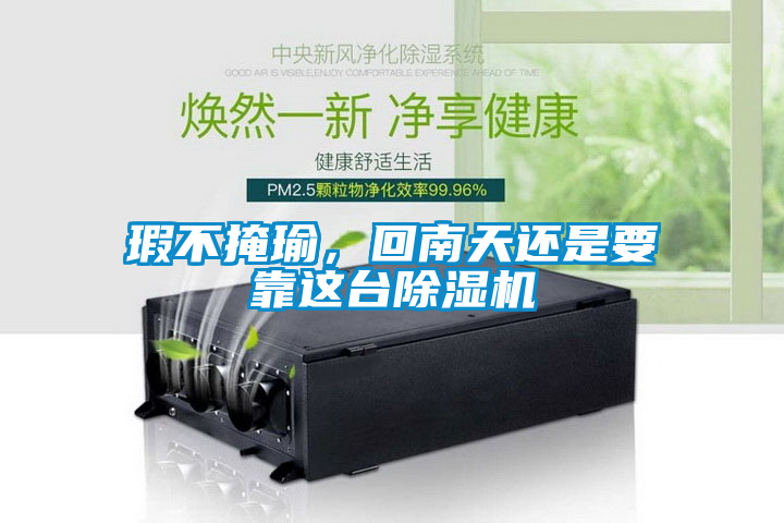 瑕不掩瑜，回南天还是要靠这台除湿机