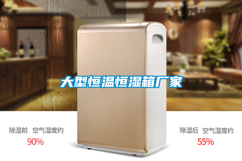 大型恒温恒湿箱厂家