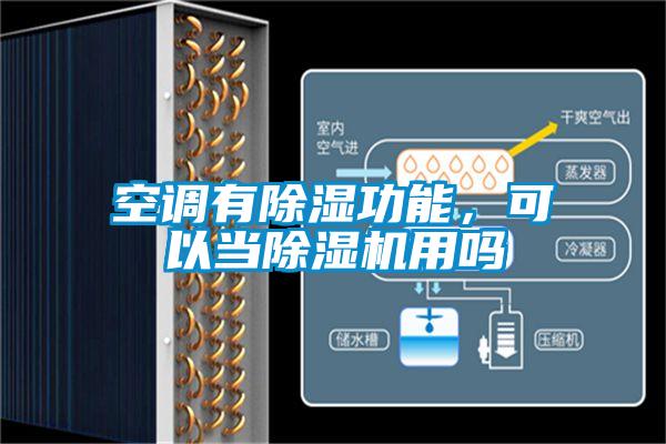 空调有除湿功能，可以当除湿机用吗