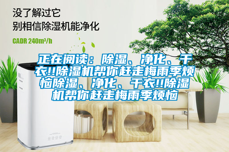 正在阅读：除湿、净化、干衣!!除湿机帮你赶走梅雨季烦恼除湿、净化、干衣!!除湿机帮你赶走梅雨季烦恼
