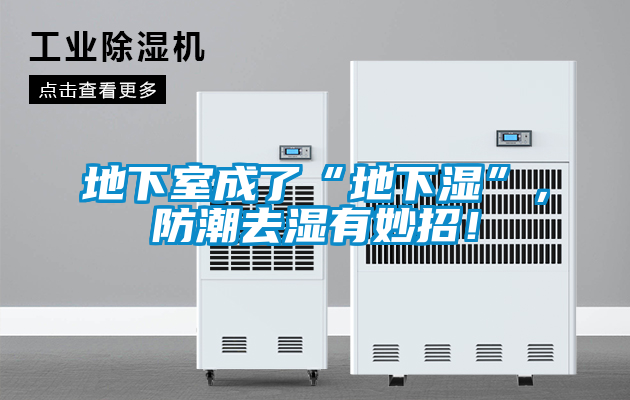 地下室成了“地下湿”，防潮去湿有妙招！