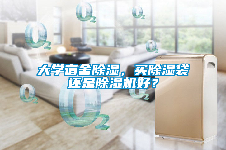 大学宿舍除湿，买除湿袋还是除湿机好？