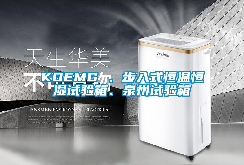 KOEMG 、步入式恒温恒湿试验箱、泉州试验箱