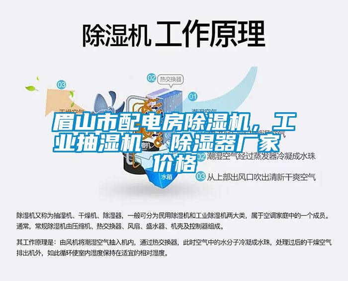 眉山市配电房除湿机，工业抽湿机  除湿器厂家 价格