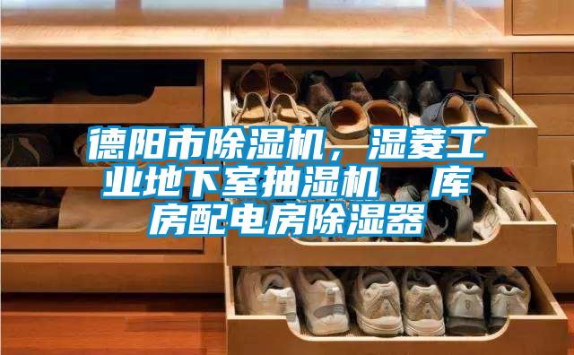 德阳市除湿机，湿菱工业地下室抽湿机  库房配电房除湿器