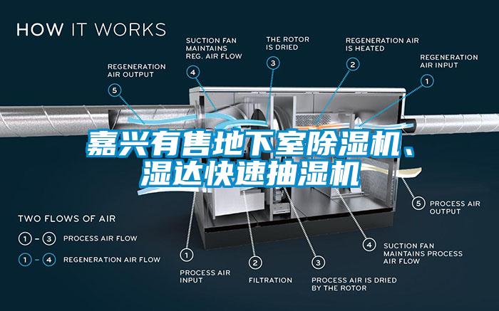 嘉兴有售地下室除湿机、湿达快速抽湿机