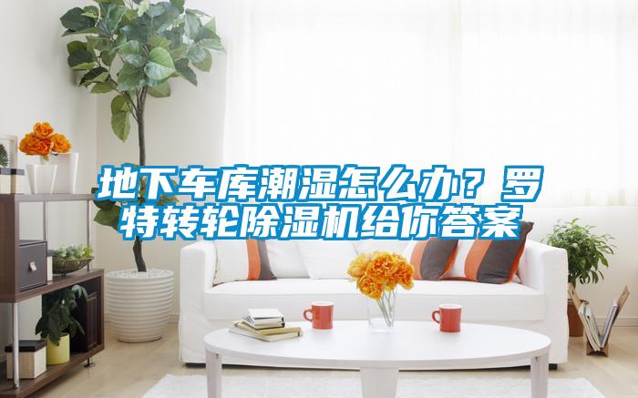 地下车库潮湿怎么办？罗特转轮除湿机给你答案
