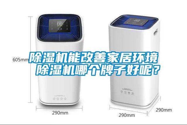 除湿机能改善家居环境 除湿机哪个牌子好呢？