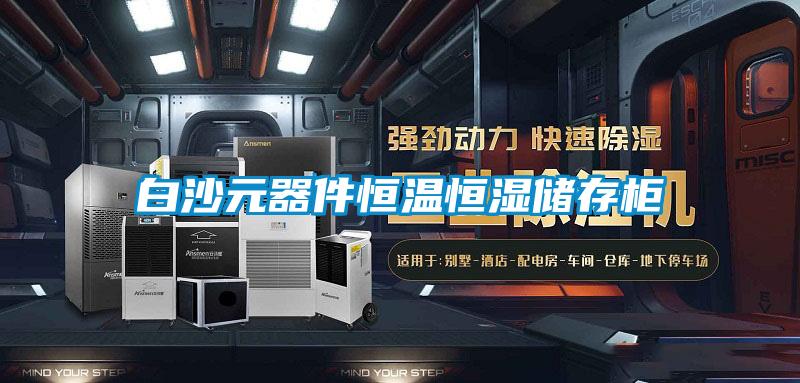 白沙元器件恒温恒湿储存柜