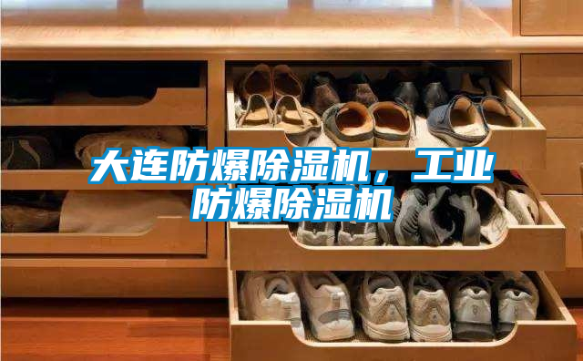 大连防爆除湿机，工业防爆除湿机