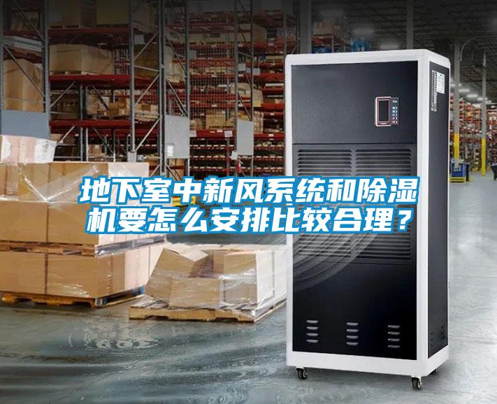 地下室中新风系统和除湿机要怎么安排比较合理？
