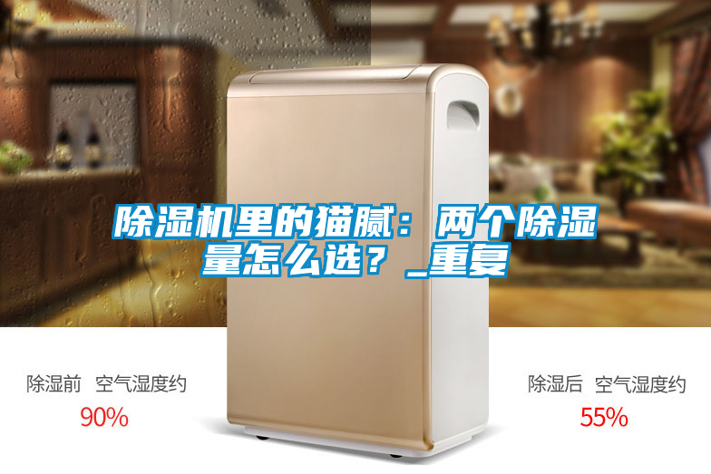 除湿机里的猫腻：两个除湿量怎么??？_重复