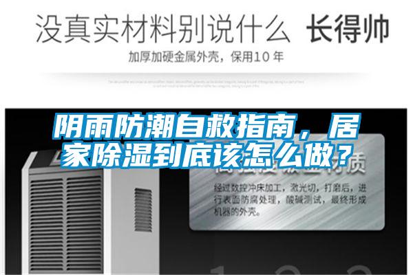 阴雨防潮自救指南，居家除湿到底该怎么做？