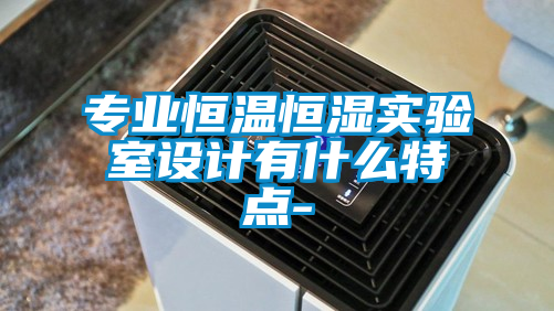 专业恒温恒湿实验室设计有什么特点-