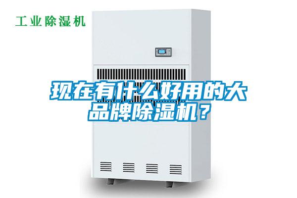 現(xiàn)在有什么好用的大品牌除濕機(jī)？