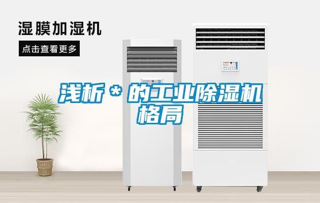 浅析＊的工业除湿机格局