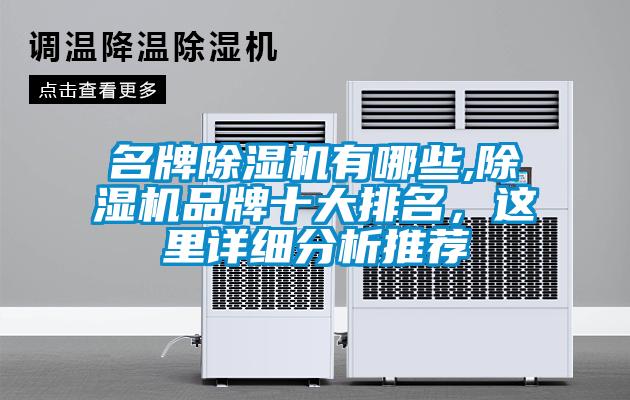 名牌除湿机有哪些,除湿机品牌十大排名，这里详细分析推荐