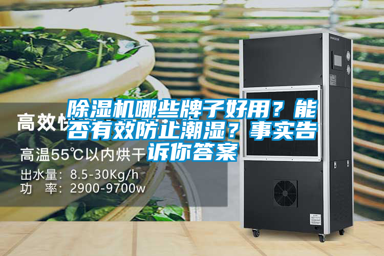 除濕機(jī)哪些牌子好用？能否有效防止潮濕？事實(shí)告訴你答案