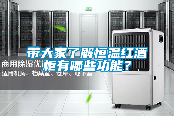 带大家了解恒温红酒柜有哪些功能？