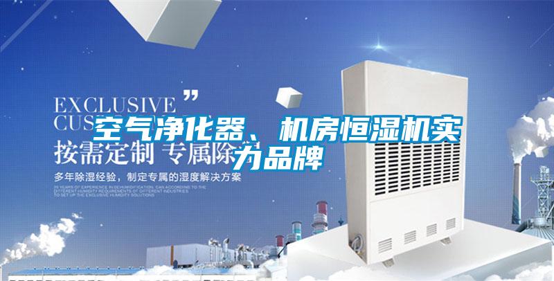 空气净化器、机房恒湿机实力品牌