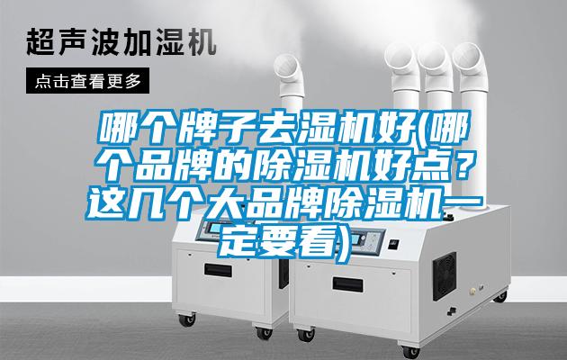 哪个牌子去湿机好(哪个品牌的除湿机好点？这几个大品牌除湿机一定要看)