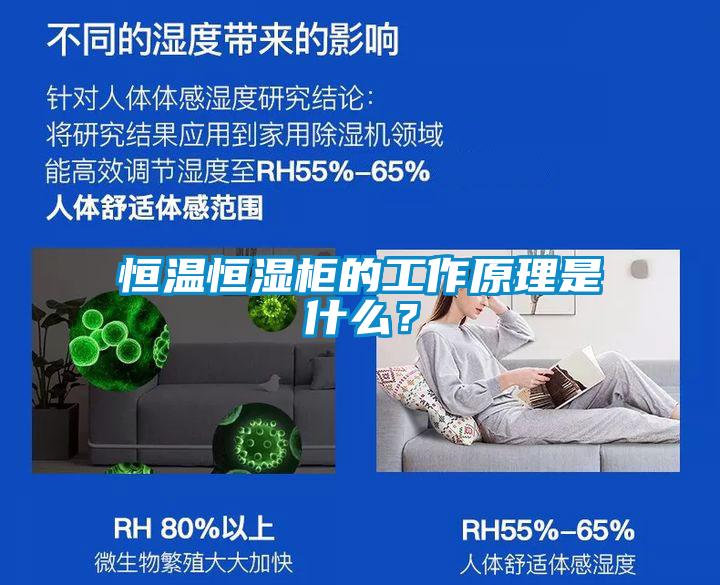 恒温恒湿柜的工作原理是什么？
