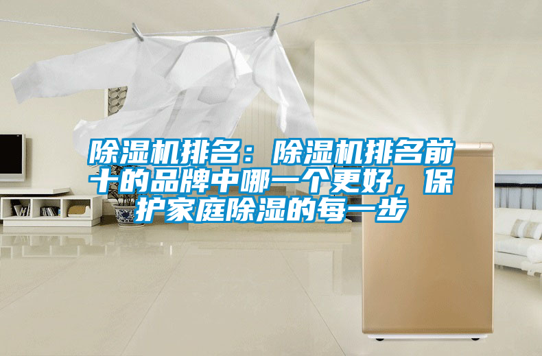 除湿机排名：除湿机排名前十的品牌中哪一个更好，?；ぜ彝コ拿恳徊?/></p>
						    <p style=