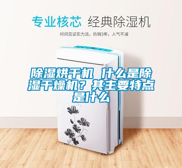 除湿烘干机 什么是除湿干燥机？其主要特点是什么
